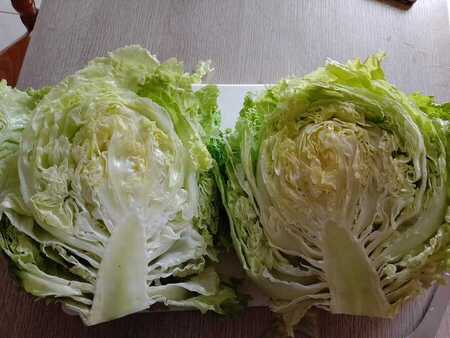 salade de plus de 3kg