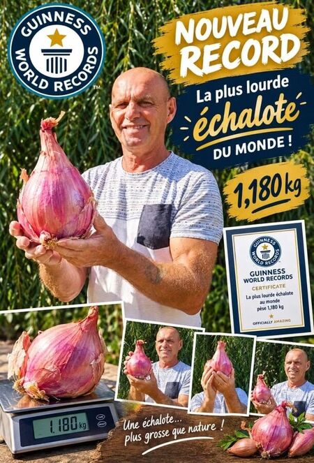 Record du monde de la plus lourde &eacute;chalote Aout 2026