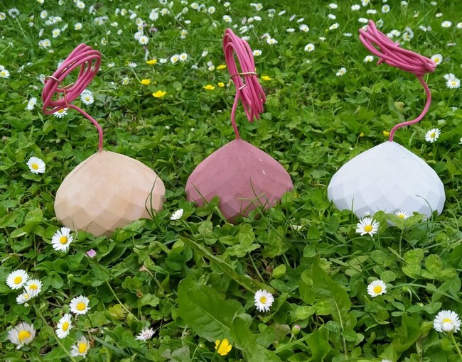 Lot de 3 zoma branch&eacute;s